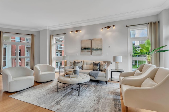 110 31st Ave N Unit 301, Nashville, TN 37203 - living room featuring wood finished floors, crown molding, and plenty of natural light