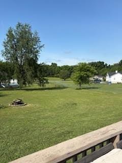 6133 Lee Ave, Murfreesboro, TN 37129 - view of green lawn