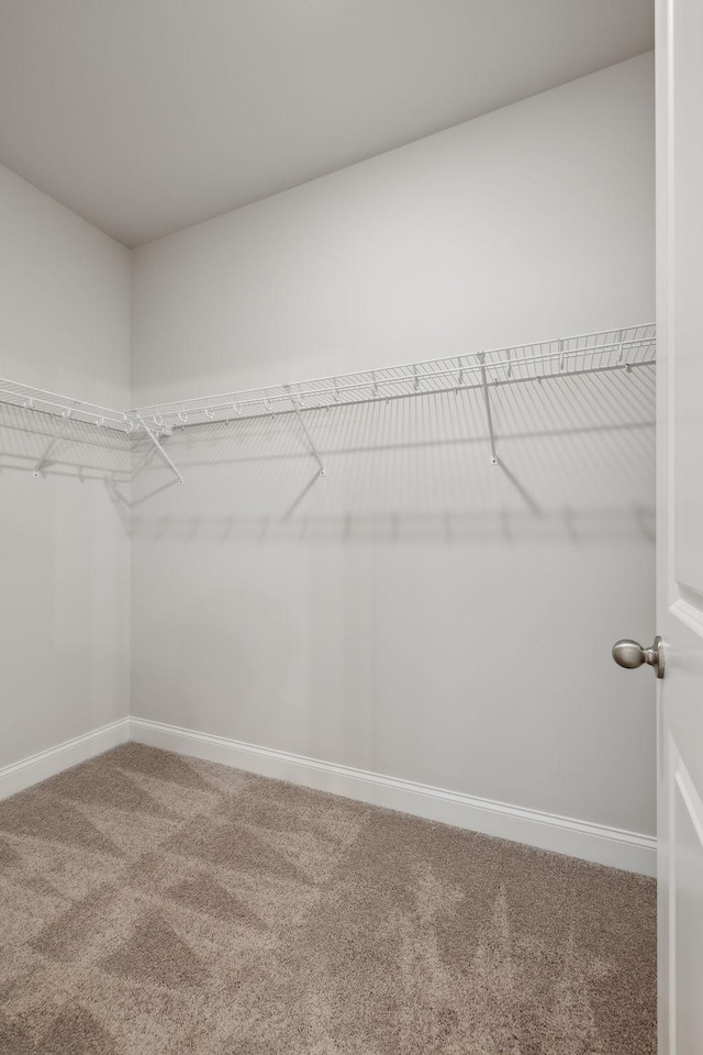 126 Cades Blf, Lebanon, TN 37087 - spacious closet featuring carpet
