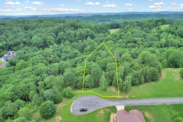 370 River Run Trl, Spring City, TN 37381