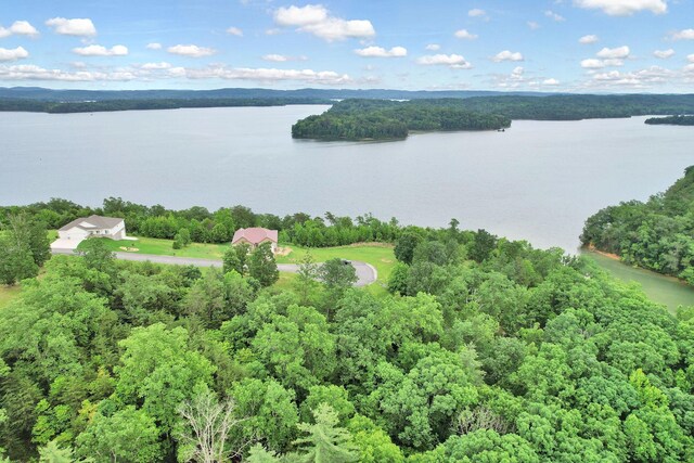 370 River Run Trl, Spring City, TN 37381