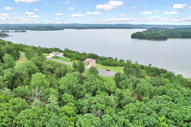 370 River Run Trl, Spring City, TN 37381