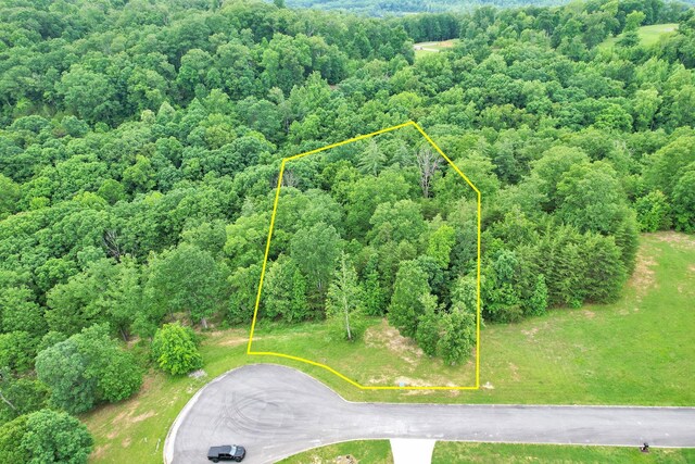 370 River Run Trl, Spring City, TN 37381