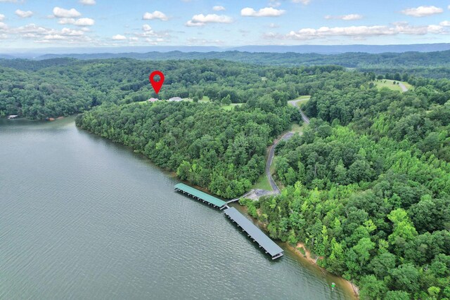 370 River Run Trl, Spring City, TN 37381