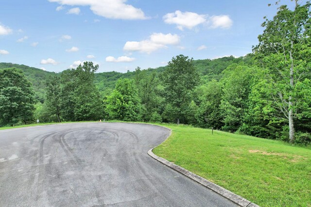 370 River Run Trl, Spring City, TN 37381