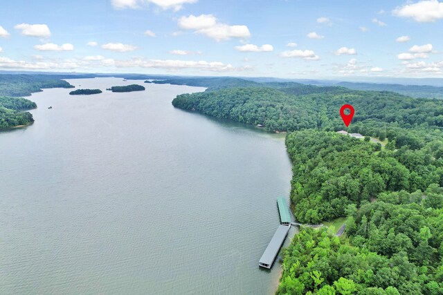 370 River Run Trl, Spring City, TN 37381