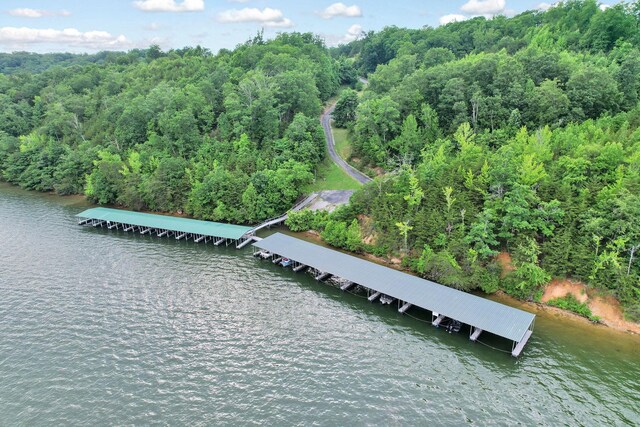 370 River Run Trl, Spring City, TN 37381