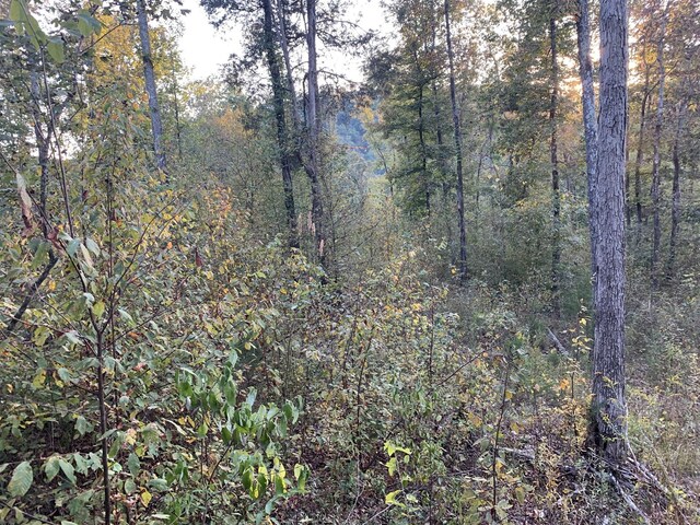 0 Harnisch Rd, Clifton, TN 38425