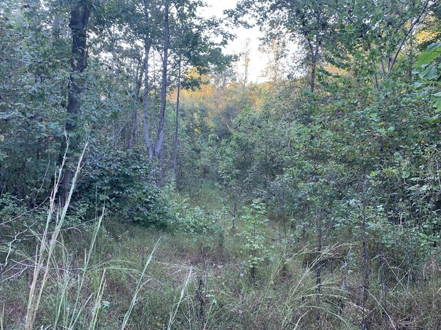 0 Harnisch Rd, Clifton, TN 38425
