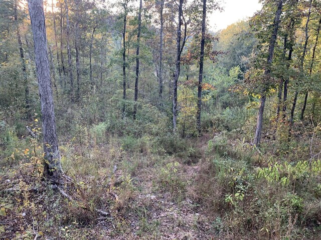 0 Harnisch Rd, Clifton, TN 38425