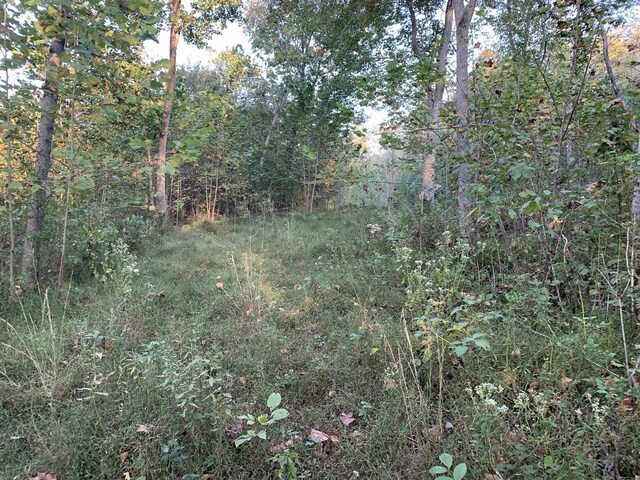 0 Harnisch Rd, Clifton, TN 38425