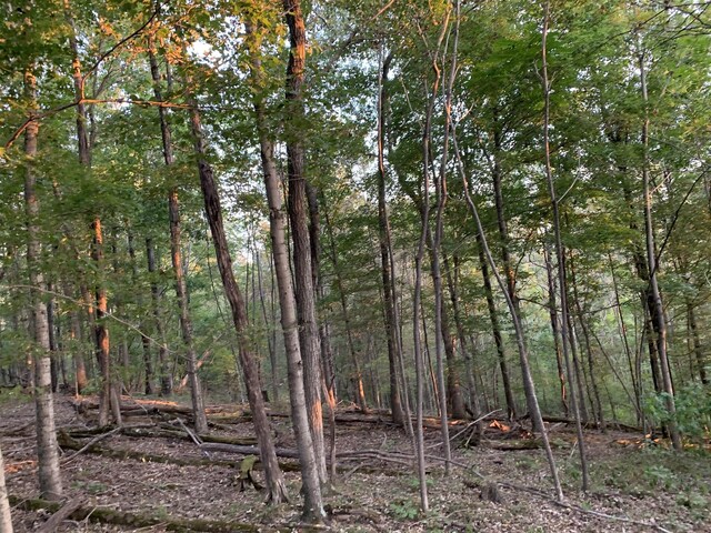 0 Harnisch Rd, Clifton, TN 38425