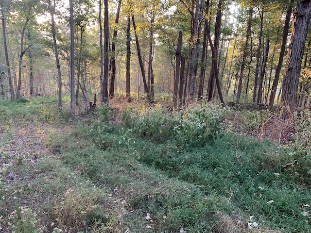 0 Harnisch Rd, Clifton, TN 38425