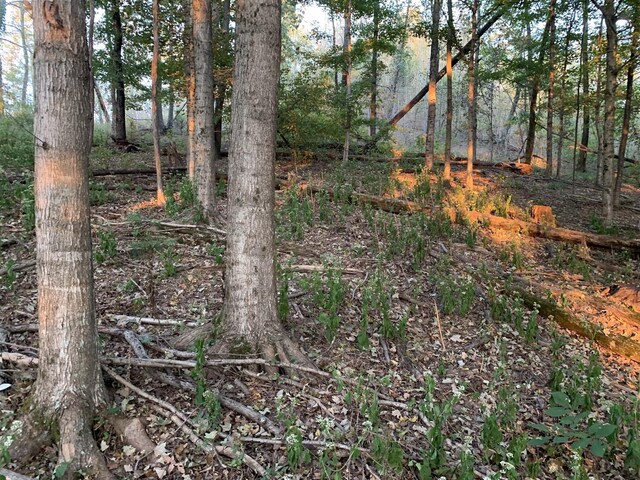 0 Harnisch Rd, Clifton, TN 38425