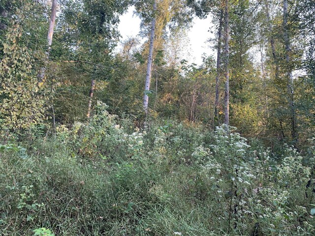 0 Harnisch Rd, Clifton, TN 38425