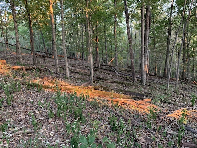 0 Harnisch Rd, Clifton, TN 38425