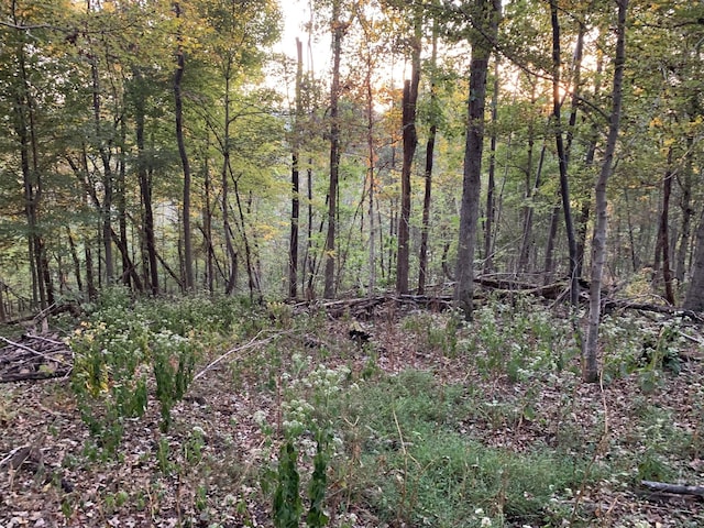 0 Harnisch Rd, Clifton, TN 38425