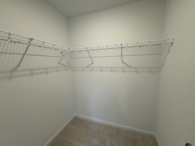 410 Blair Rd, Smyrna, TN 37167 - spacious closet with carpet flooring
