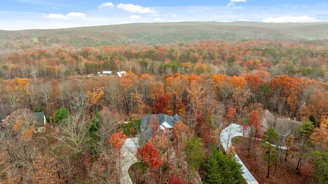 697 N Stewart Ln, Rising Fawn, GA 30738 - aerial view of a forest