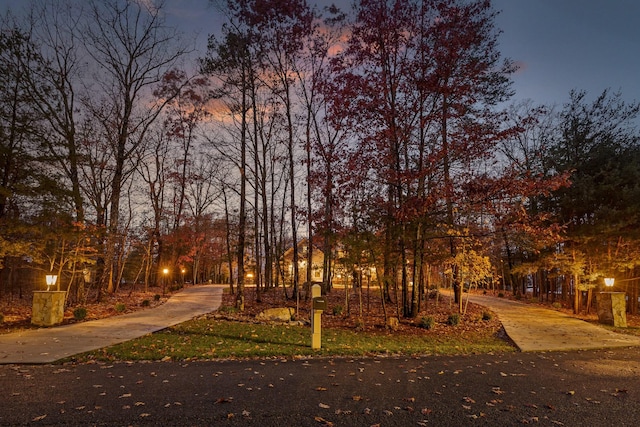 697 N Stewart Ln, Rising Fawn, GA 30738 - view of obstructed view of property