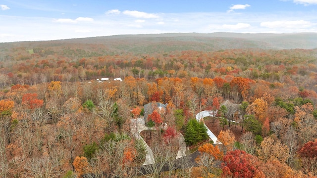 697 N Stewart Ln, Rising Fawn, GA 30738 - aerial overview of property's location with a forest