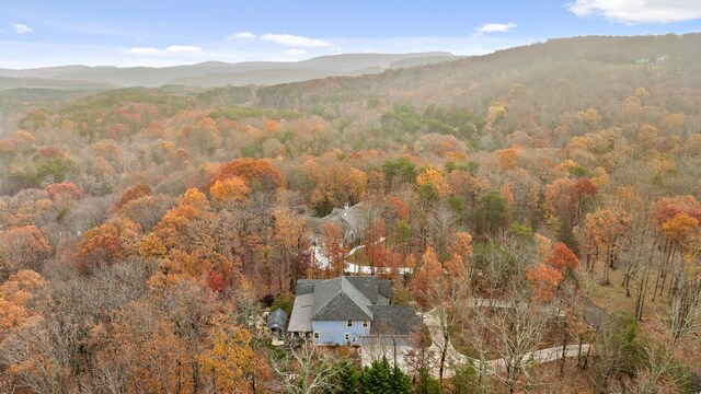 697 N Stewart Ln, Rising Fawn, GA 30738 - aerial view of property and surrounding area with a forest and mountains
