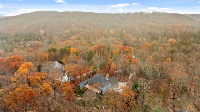697 N Stewart Ln, Rising Fawn, GA 30738 - aerial view of property and surrounding area featuring a heavily wooded area and mountains