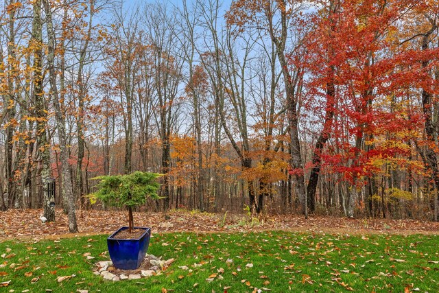 697 N Stewart Ln, Rising Fawn, GA 30738 - view of grassy yard