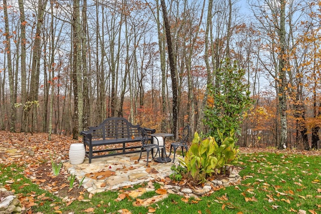 697 N Stewart Ln, Rising Fawn, GA 30738 - view of yard with a patio area and a wooded view