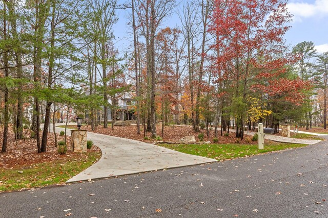 697 N Stewart Ln, Rising Fawn, GA 30738 - view of property's community