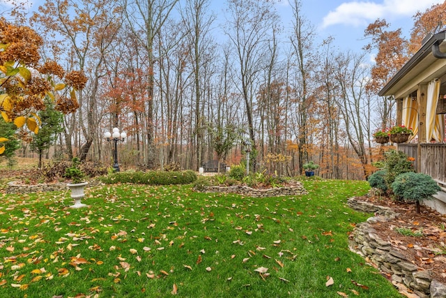 697 N Stewart Ln, Rising Fawn, GA 30738 - view of green lawn