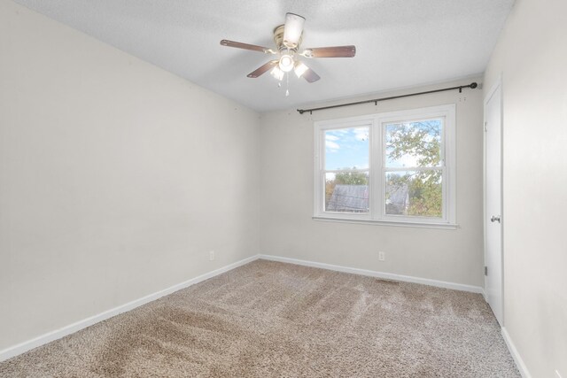 902 Dominion Dr, Clarksville, TN 37042 - photo 16