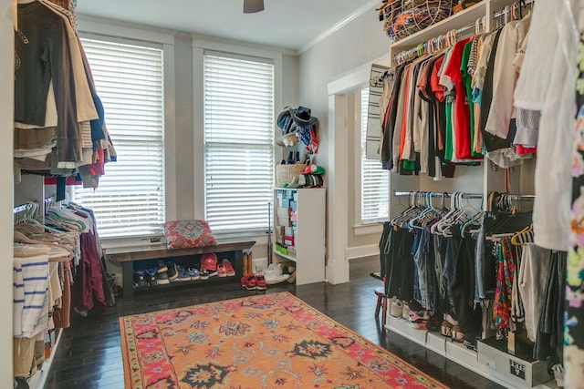 712 W Main St, Franklin, TN 37064 - walk in closet with wood-type flooring and ceiling fan
