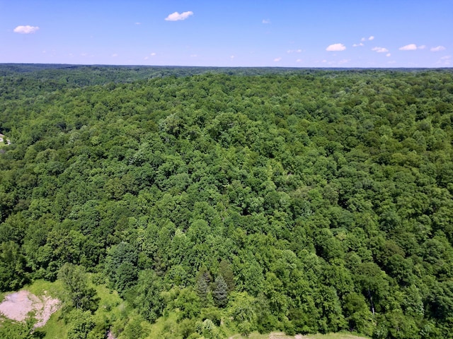 0 Big Marrrowbone Rd, Ashland City, TN 37015