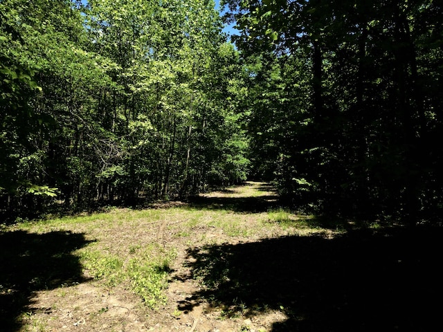 0 Big Marrrowbone Rd, Ashland City, TN 37015