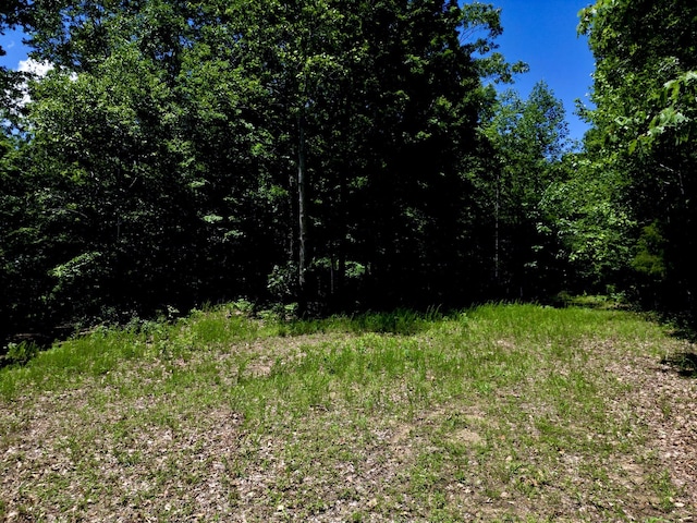 0 Big Marrrowbone Rd, Ashland City, TN 37015