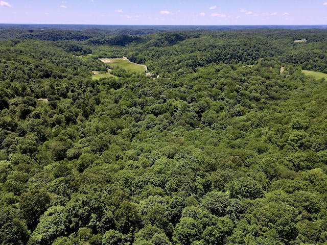 0 Big Marrrowbone Rd, Ashland City, TN 37015