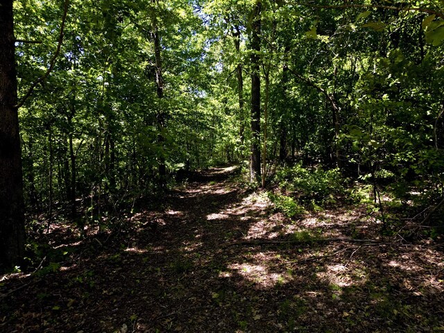 0 Big Marrrowbone Rd, Ashland City, TN 37015