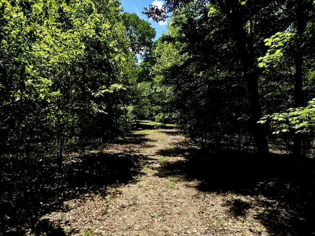 0 Big Marrrowbone Rd, Ashland City, TN 37015