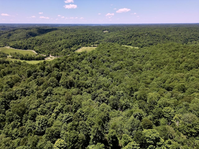 0 Big Marrrowbone Rd, Ashland City, TN 37015
