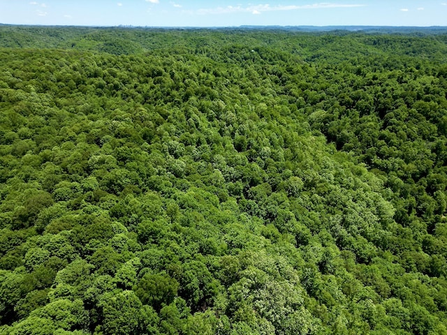0 Big Marrrowbone Rd, Ashland City, TN 37015