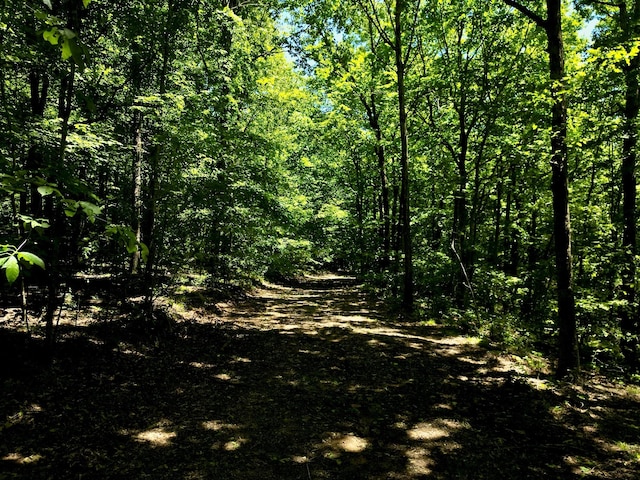0 Big Marrrowbone Rd, Ashland City, TN 37015