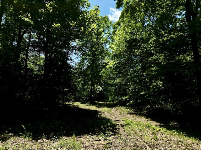 0 Big Marrrowbone Rd, Ashland City, TN 37015