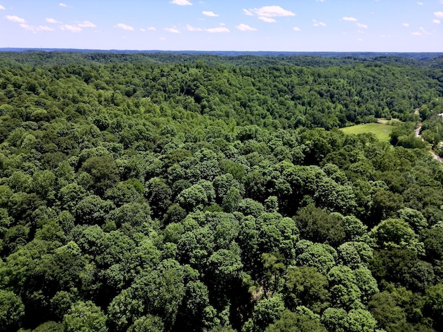0 Big Marrrowbone Rd, Ashland City, TN 37015