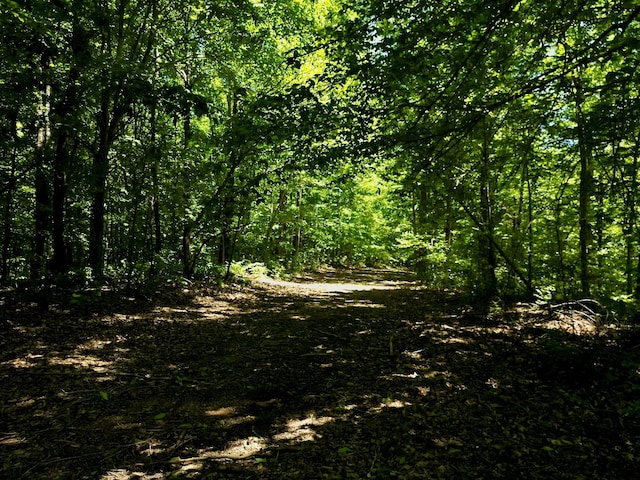 0 Big Marrrowbone Rd, Ashland City, TN 37015