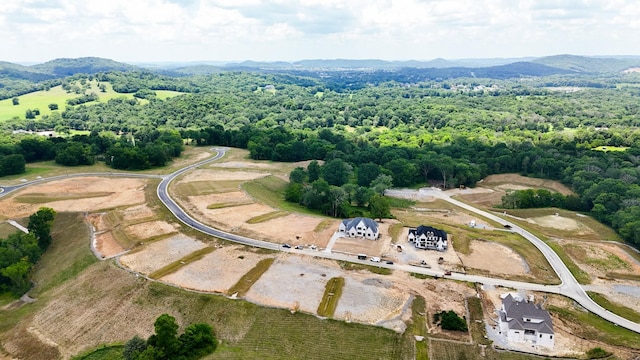 1950 Napa Dr, Brentwood, TN 37027 - photo 4