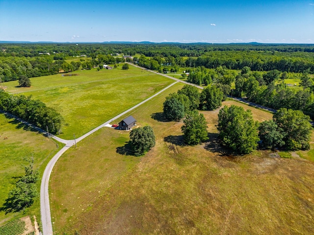 14 Lewter Rd, Taft, TN 38488 - overview of rural landscape