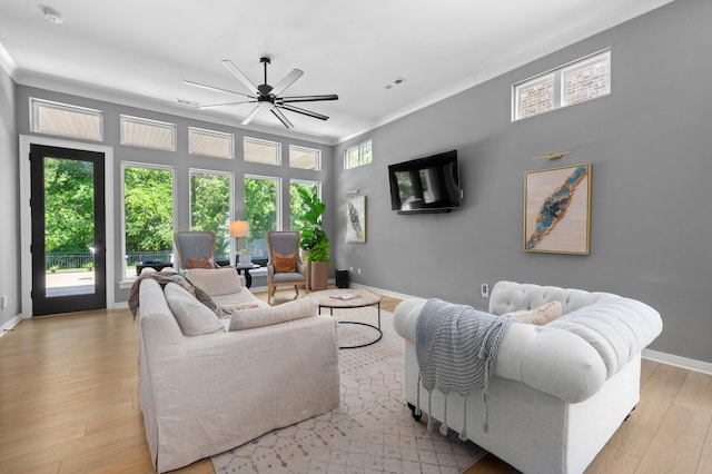894 Plowson Rd, Mount Juliet, TN 37122 - living room with light wood finished floors, a ceiling fan, baseboards, and crown molding