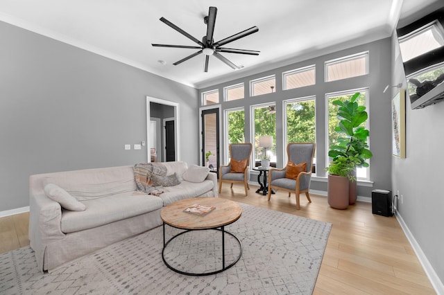 894 Plowson Rd, Mount Juliet, TN 37122 - living area with ceiling fan, light wood-type flooring, baseboards, and ornamental molding