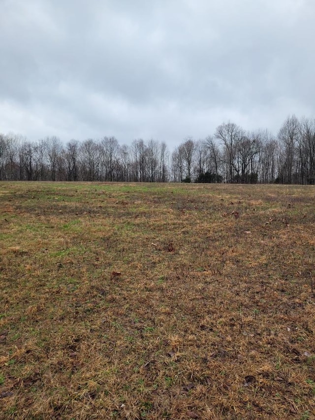 0 Goad Ridge Ln, Pleasant Shade, TN 37145 - photo 4